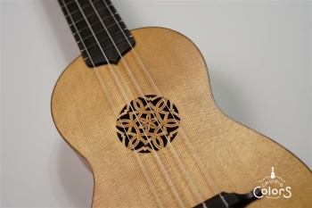 ukulele concert 14 FA.S